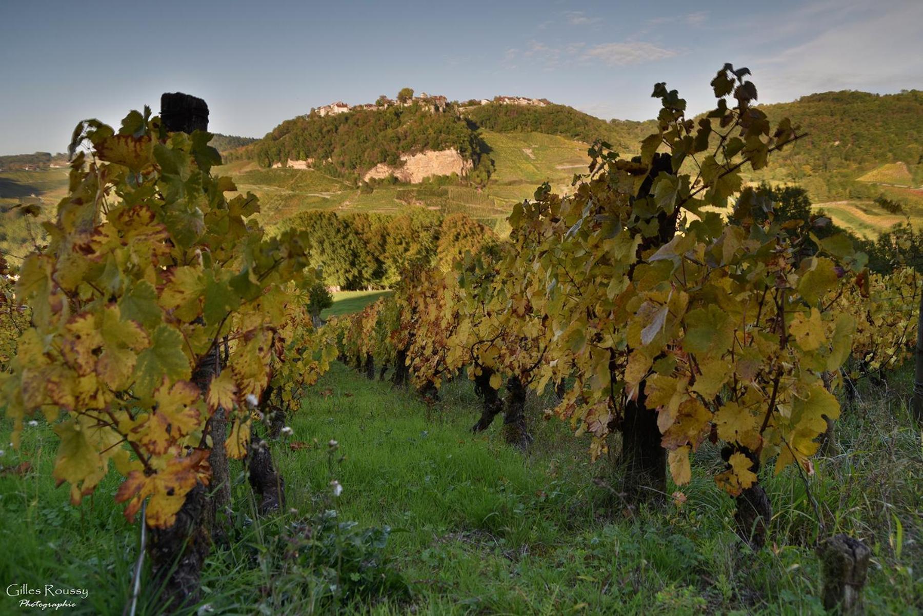 Gite Le Douglas, Vignoble Et Reculees Du Jura - Avec Sauna Lavigny Екстериор снимка
